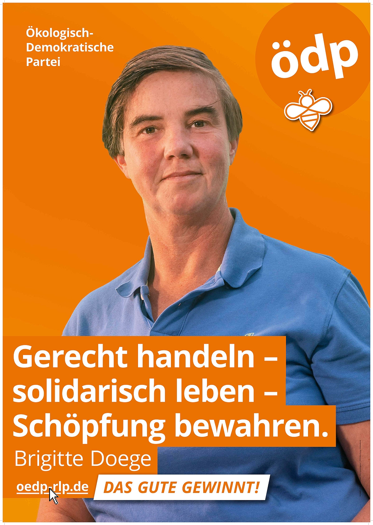 Wahlplakat Brigitte Doege